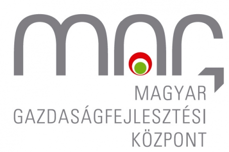 MAG_logo